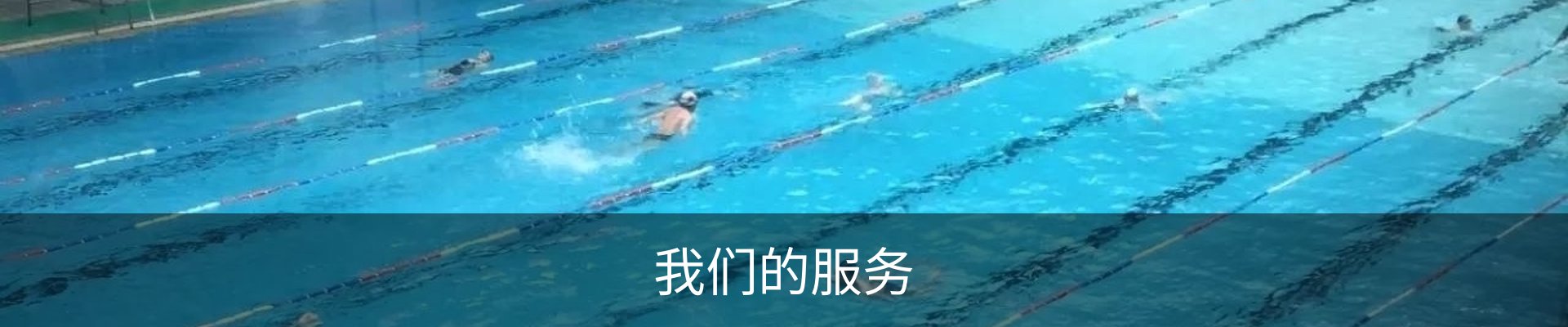 我们的服务